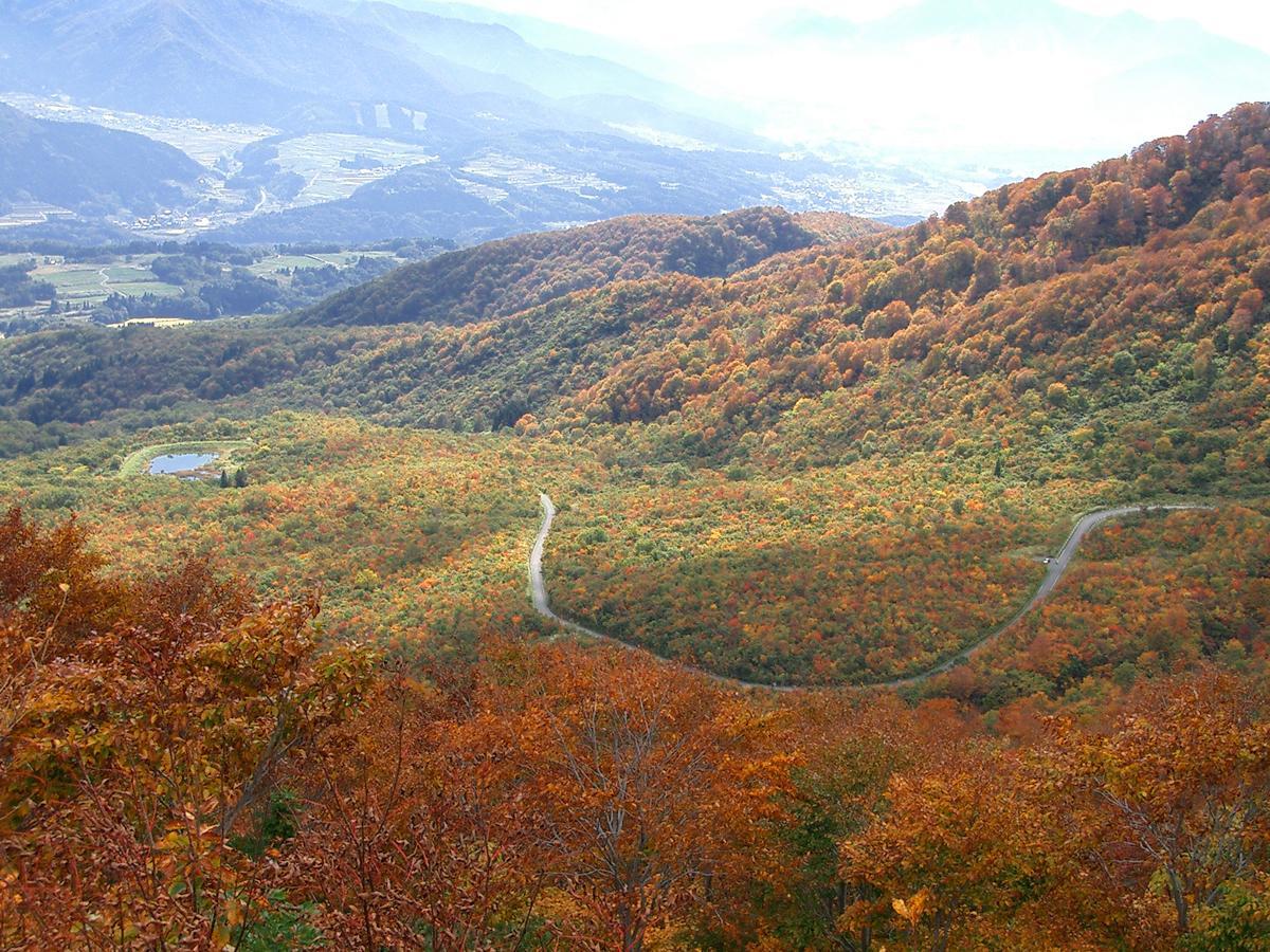 Resort Square Sun Verde 이야마 객실 사진