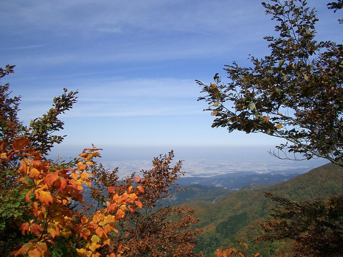 Resort Square Sun Verde 이야마 객실 사진