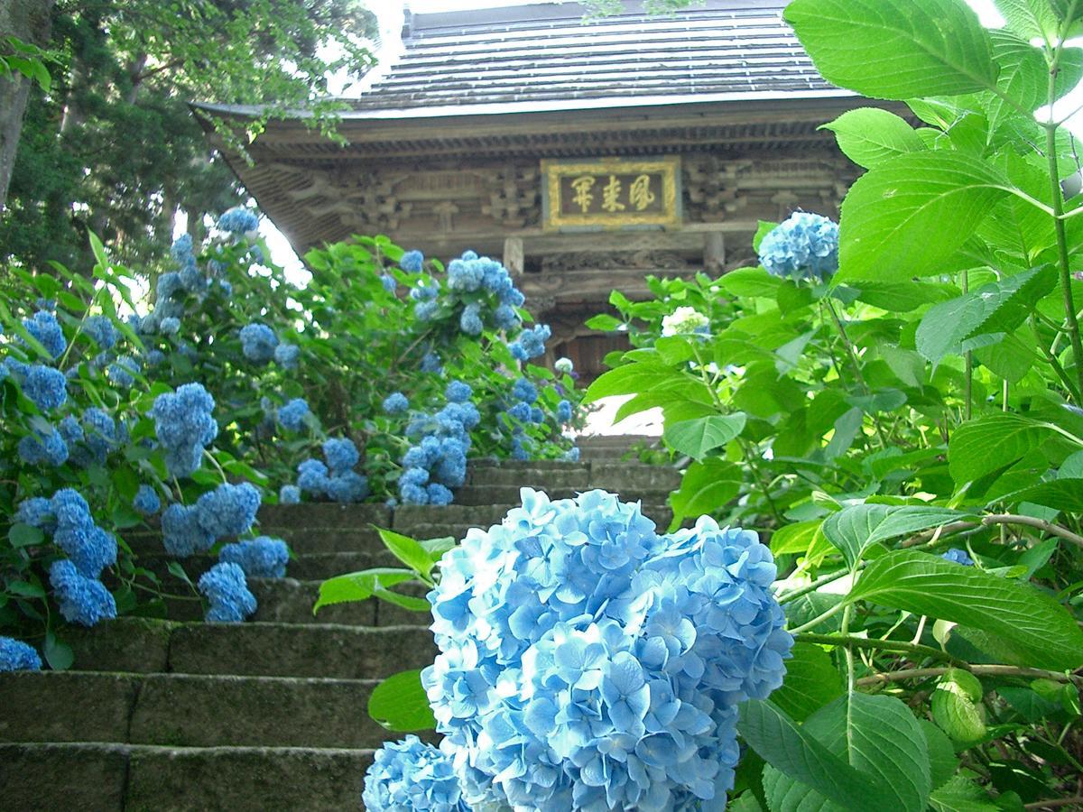 Resort Square Sun Verde 이야마 객실 사진