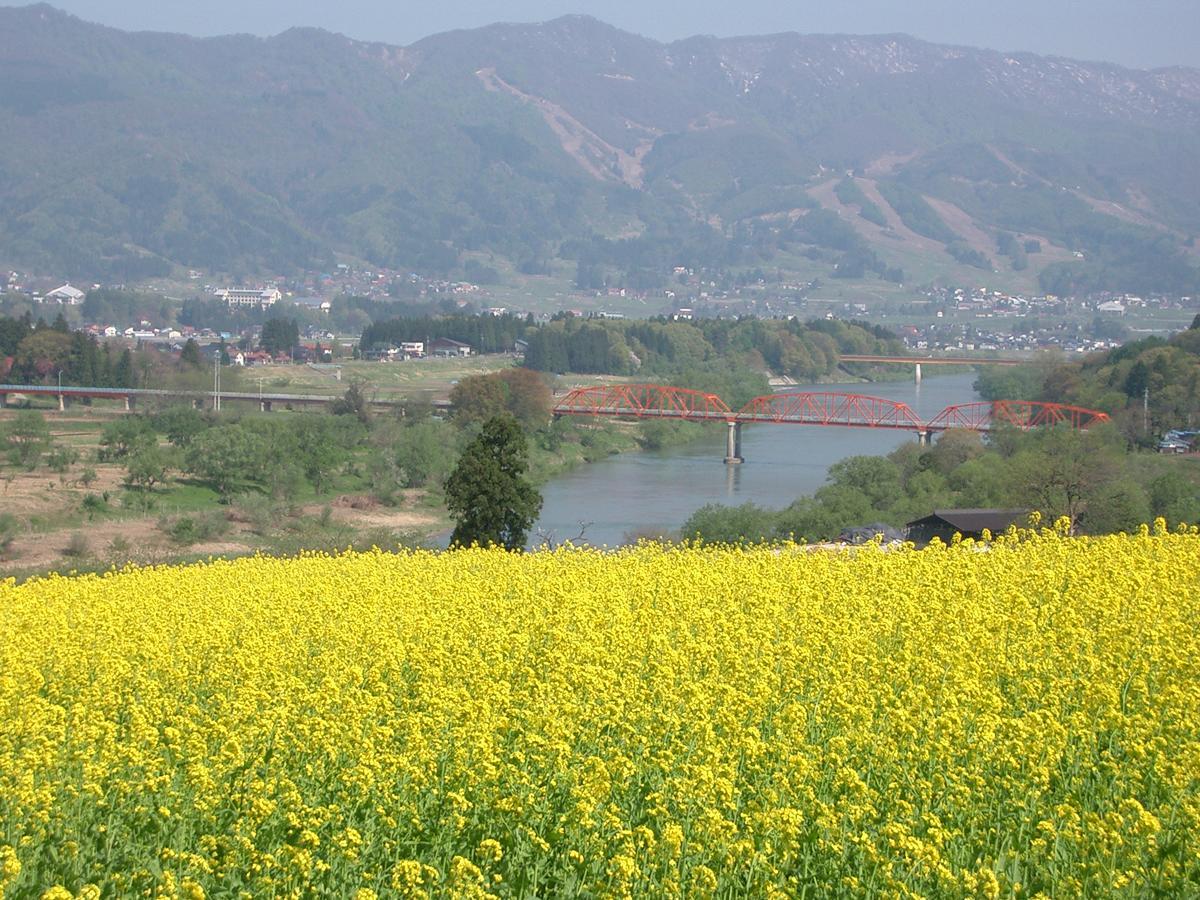 Resort Square Sun Verde 이야마 객실 사진